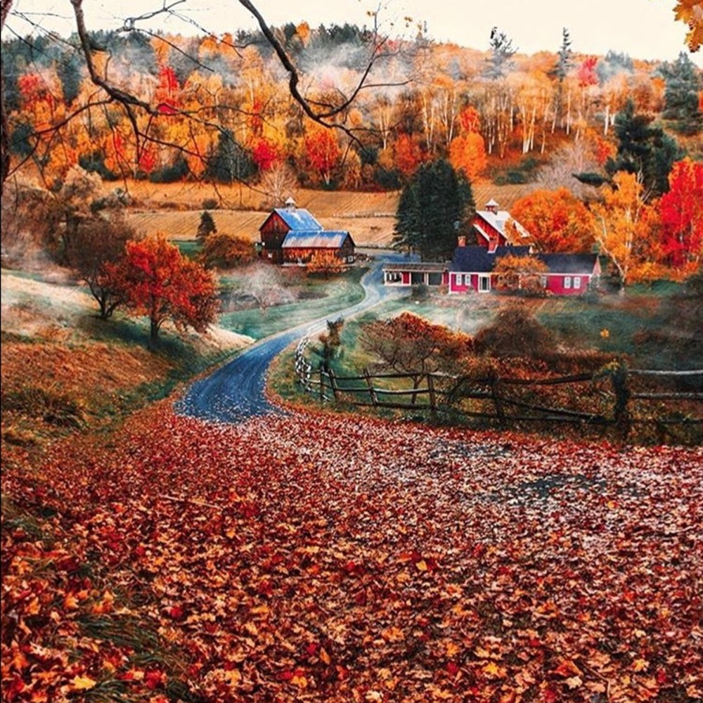 Meet your Posher, Ana